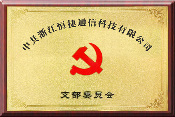 恒捷通信党支部委员会